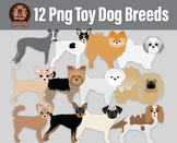 Digital Toy Dog Breed Clipart - Standing Pet Illustrations