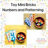 Toy Mini Bricks - Patterning and Numbers
