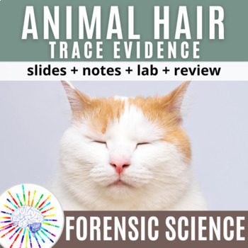 Preview of Trace Evidence: Animal Hair Notes + Lab + Review