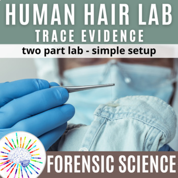 Preview of Trace Evidence: Human Hair Lab 