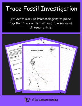 Preview of Trace Fossil Investigation Activity