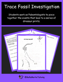 Trace Fossil Investigation Activity