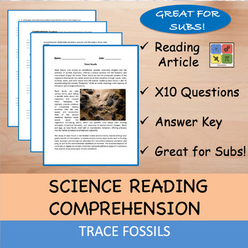 Preview of Trace Fossils - Reading Passage and x 10 Questions (EDITABLE)