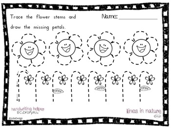 Tracing Activity - Lines in Nature Pre-Writing Worksheets by JolieDesign