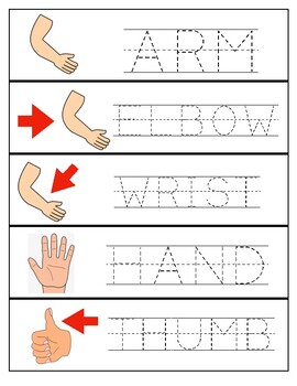 body part tracing cards by create your shine teachers