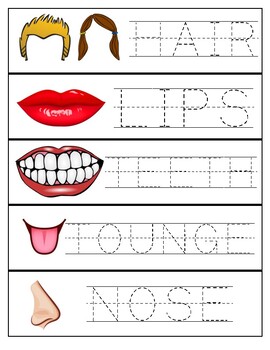 body part tracing cards by create your shine teachers pay teachers