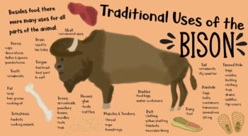 Preview of Traditional Uses of the Bison Poster