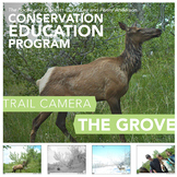 Trail Camera – The Grove