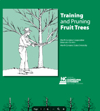 Training & Pruning Fruit Tree Worksheet