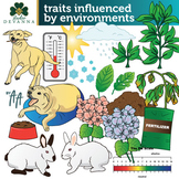 Traits Influenced by Environments Clip Art