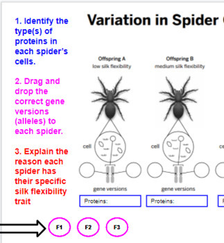 System of a Down, Spiders Meaning: Simulation Theory? - Spinditty