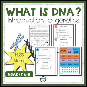 Preview of Traits and Heredity Introduction with DNA lab, Reading Passage, & Worksheets