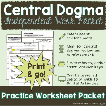 Preview of Transcription, Translation, & Mutations Practice Packet - PRINT & DIGITAL