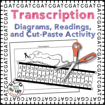 Transcription and RNA Modification Diagrams, Readings, and Activity Packet