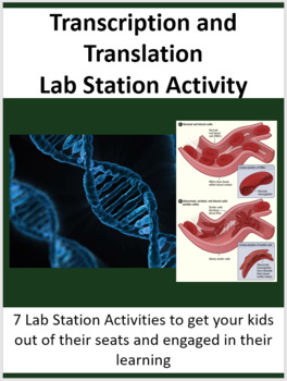 Preview of Transcription and Translation - Protein Synthesis - 7 Lab Station Activities