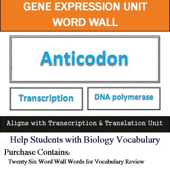 Preview of Transcription and Translation Word Wall