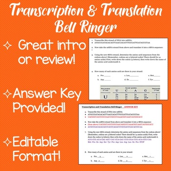 Transcription and Translation Worksheet by Science with Shmouni | TpT