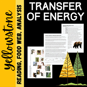 Preview of Transfer of Energy In Ecosystem: Reading, Food Web and Analysis