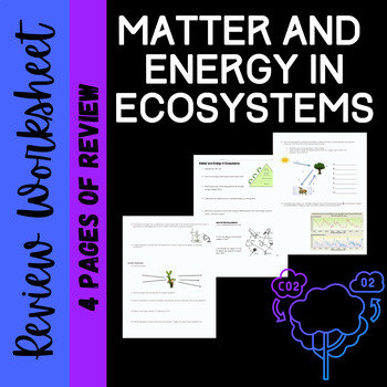 Preview of Transfer of Energy and Matter in Ecosystems: Review