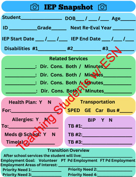 Preview of Transition IEP Snapshot