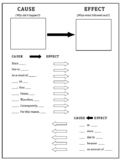Transition Words & Phrases - Graphic Organizers