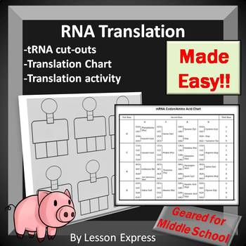 Preview of Translation Review Activity and tRNA Cut-Out Templates - Protein Synthesis