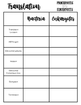 Preview of Translation Summary Worksheet