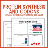 Translation and Codons Vocabulary Graphic Organizer | Biology