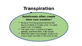 Transpiration Process (ppt)