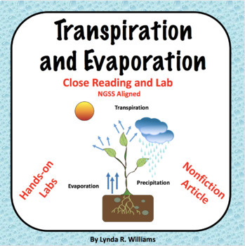 Preview of Water Cycle Activity Transpiration and Evaporation