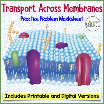 Preview of Cell Cellular Transport Osmosis Diffusion Worksheet Membranes, Active & Passive
