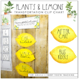 Transportation Clip Chart | Lemon & Plant Decor Theme
