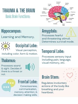 Trauma & The Brain Infographic by Therapy Hub | TPT