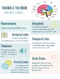 Trauma & The Brain Infographic