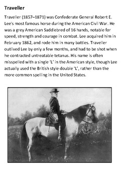 Traveller General Robert E. Lee's Horse Handout by Steven's Social Studies