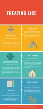 Preview of Treating head lice infographic