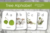 Tree Alphabet- Naturalist Montessori Alphabet