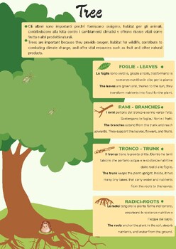 Preview of Tree Anatomy Poster - Explore the Parts of a Tree!