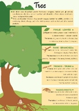 Tree Anatomy Poster - Explore the Parts of a Tree!