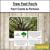 Tree Fast Facts - Montessori Botany Cards & Pictures