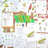 Tree Frogs: a nature-based STEAM unit study