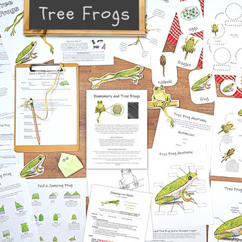 Preview of Tree Frog STEM activities! With lab activities, origami, biomimicry, & more!