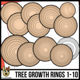 Tree Growth Rings Clip Art
