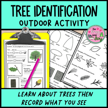 Preview of Tree ID & Parts of a Tree Outdoor & Classroom Activity
