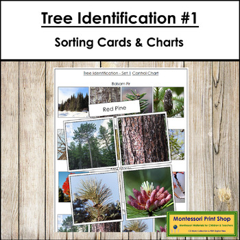 Preview of Tree Identification (Set #1) - Sorting Cards & Control Charts