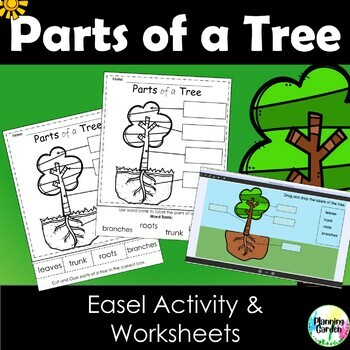 Preview of Parts of a Tree | Tree Labeling {trees, spring, fall}