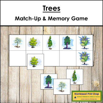 Preview of Trees Match-Up and Memory Game (Visual Discrimination & Recall Skills)