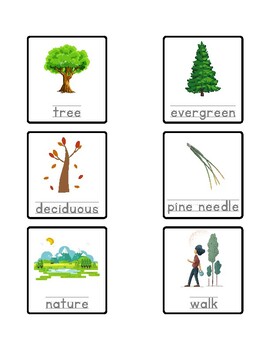 Nature - Vocabulary 1° / 2° Free Activities online for kids in 1st