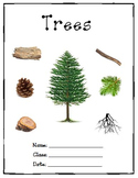 Tree Research Project