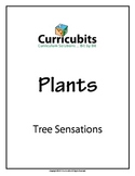 Tree Sensations | Theme: Plants | Scripted Afterschool Activity